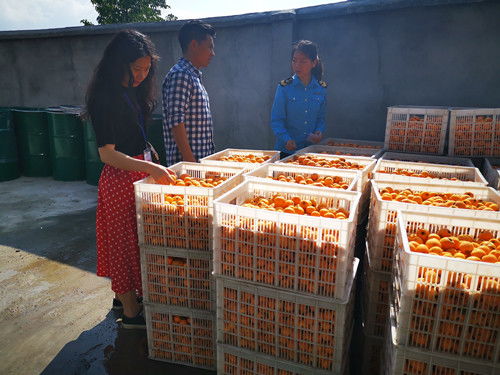 石棉县市场监督管理局开展新获证食品生产企业监督检查